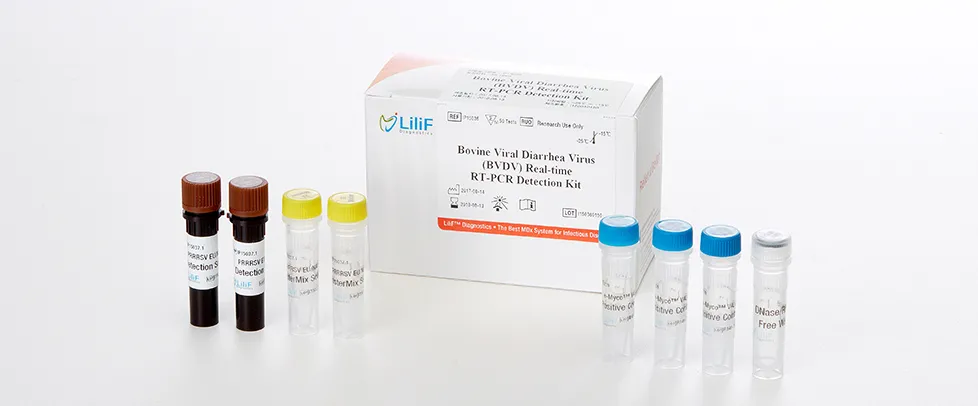 LiliF® BVDV Real-time RT-PCR Kit