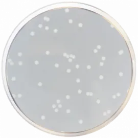 Nutrient Agar ISO