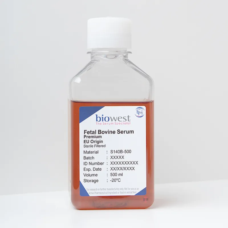 Fetal Bovine Serum (FBS) EU, Premium Heat Inactivated