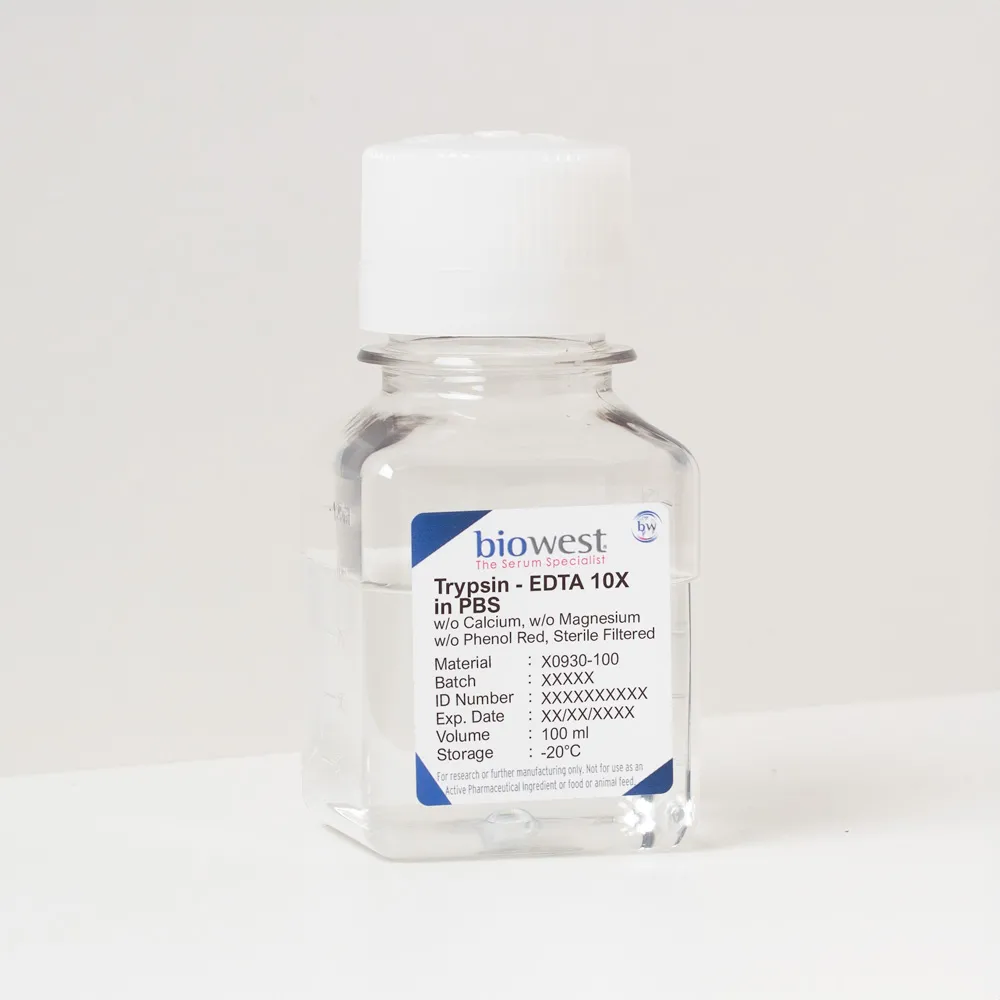 Trypsin – EDTA 10X in PBS w/o Calcium w/o Magnesium w/o Phenol Red